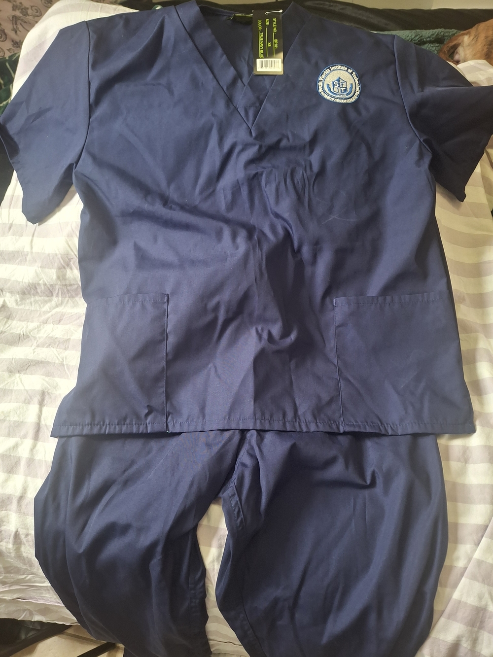 Men's Navy V-Neck Scrub Top and Pants Set with Embroidered Patch